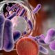 La sepsis y el shock séptico son afecciones potencialmente mortales