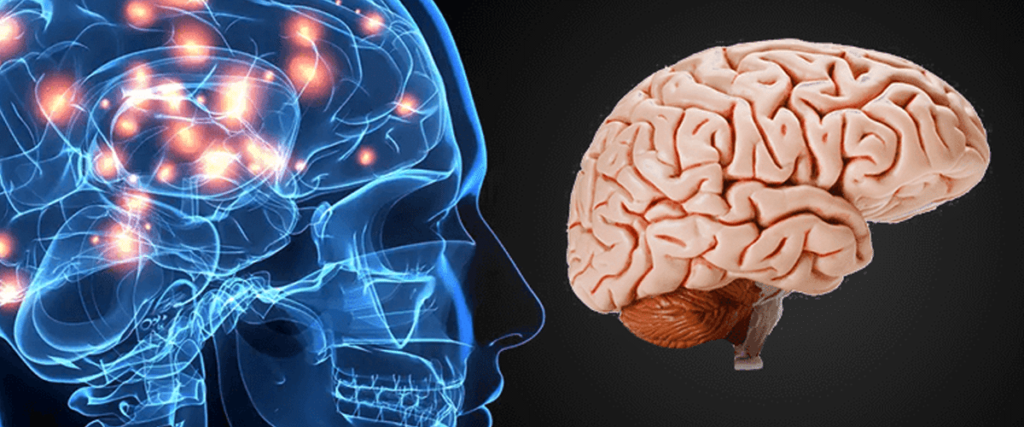 Reacciones de las neuronas a la lesión