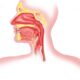 Trastornos de las vías aéreas superiores