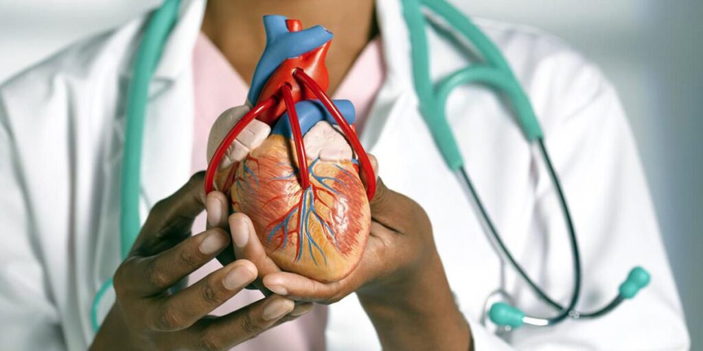 Aumento de las enfermedades cardiovasculares