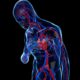 Causas de Insuficiencia Cardiaca