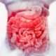 ¿Que hacer ante la sospecha de sangrado del intestino delgado?