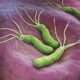 Tratamiento de las úlceras asociadas a Helicobacter pylori