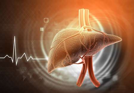 Causas de insuficiencia hepática aguda