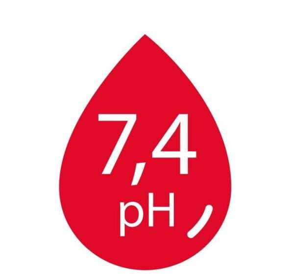 Respuestas compensatorias ante trastornos ácido-base