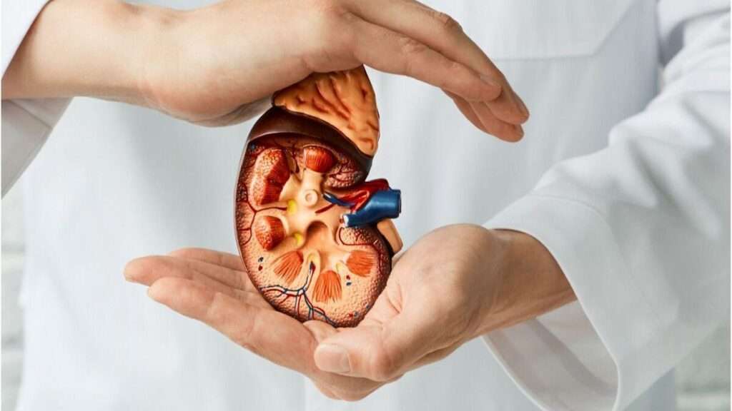 Clasificación de la enfermedad renal por su duracion