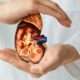 Clasificación de la enfermedad renal por su duracion