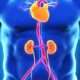 ¿Qué es el síndrome cardiorrenal?
