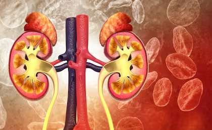 Enfermedad renal crónica