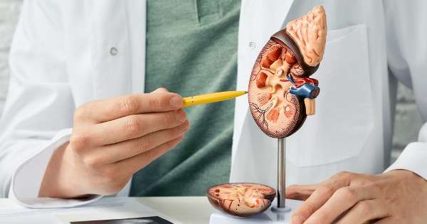 Enfermedad renal diabética