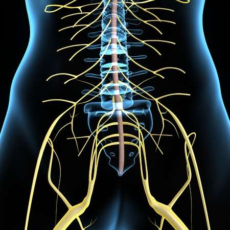 ¿Qué son las lesiones del plexo lumbosacro?