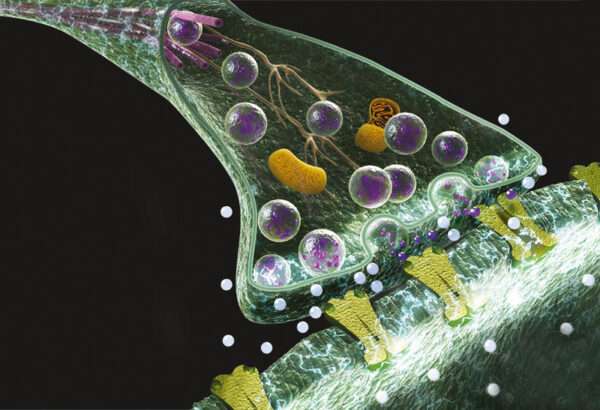 Miastenia gravis