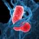 Trastornos de la transmisión neuromuscular debido a la toxina de Clostridium botulinum