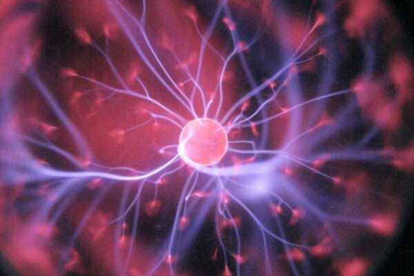Trastornos de la transmisión neuromuscular asociados con el uso de aminoglucósidos