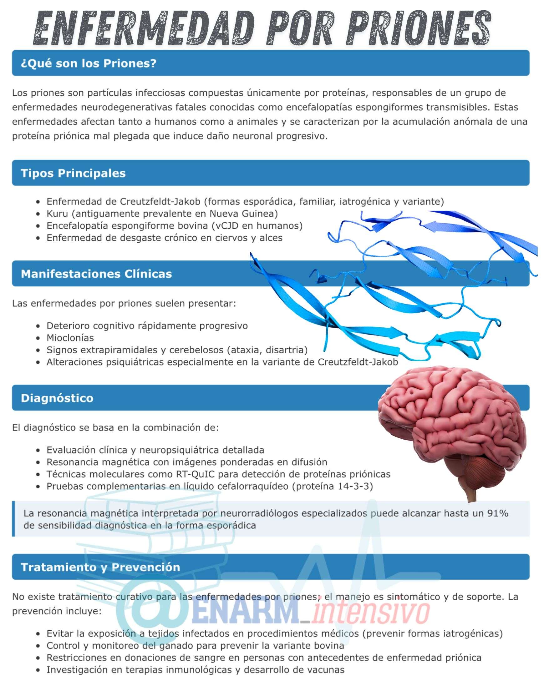 🎴TARJETA DE REPASO: Enfermedad por priones