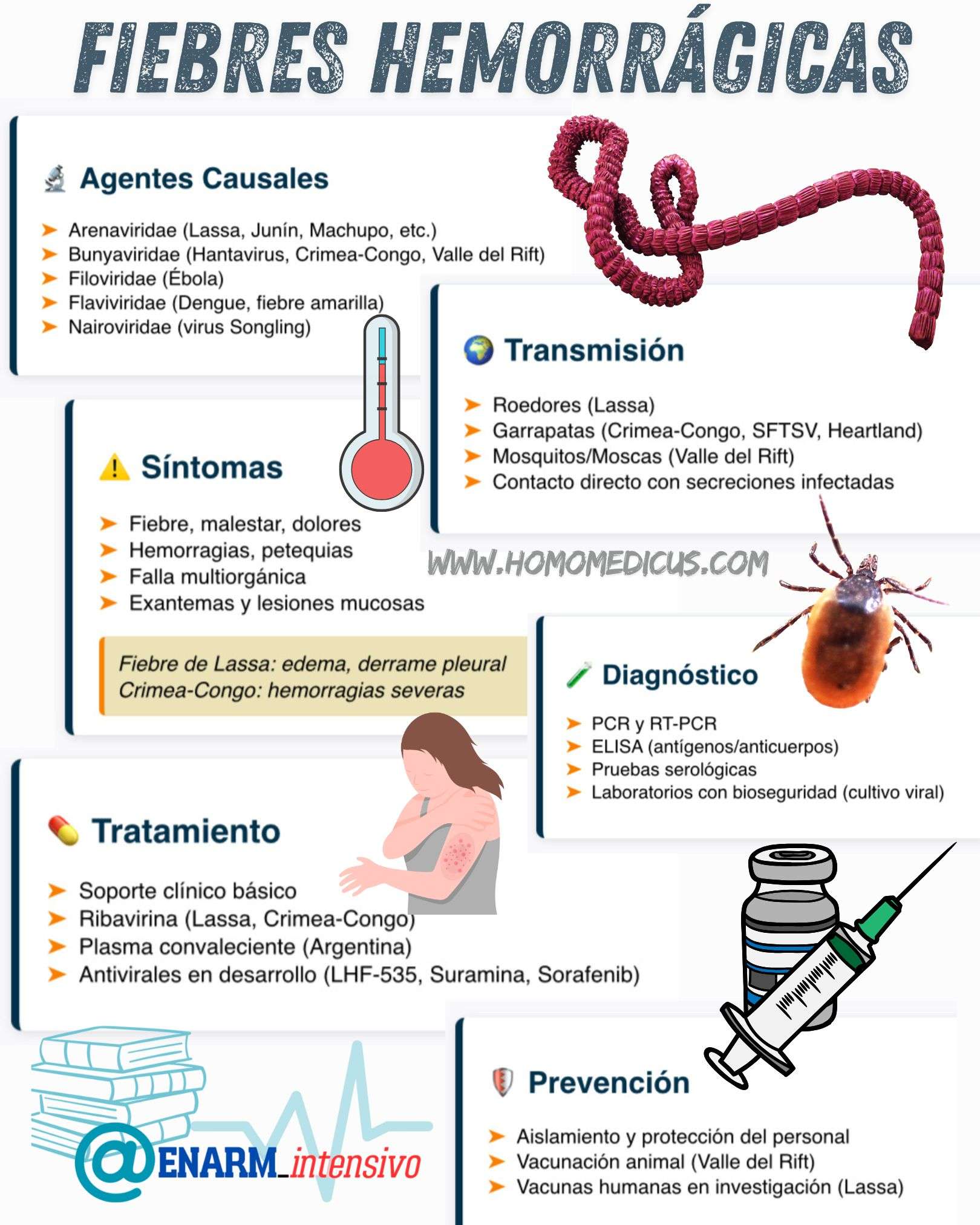 🎴TARJETA DE REPASO: FIEBRES HEMORRÁGICAS