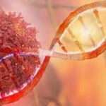 El Virus de Epstein-Barr y su Asociación con Malignidades