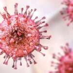 Enfermedad por citomegalovirus