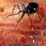 Virus del Zika