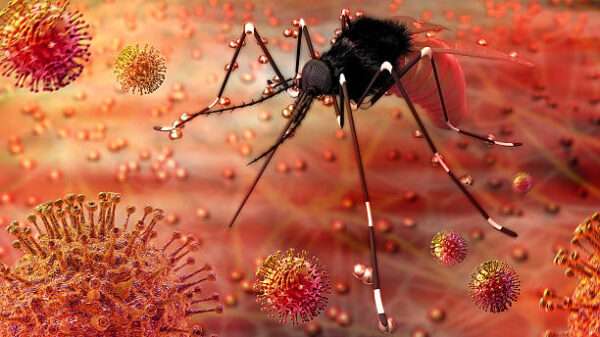 Virus del Zika
