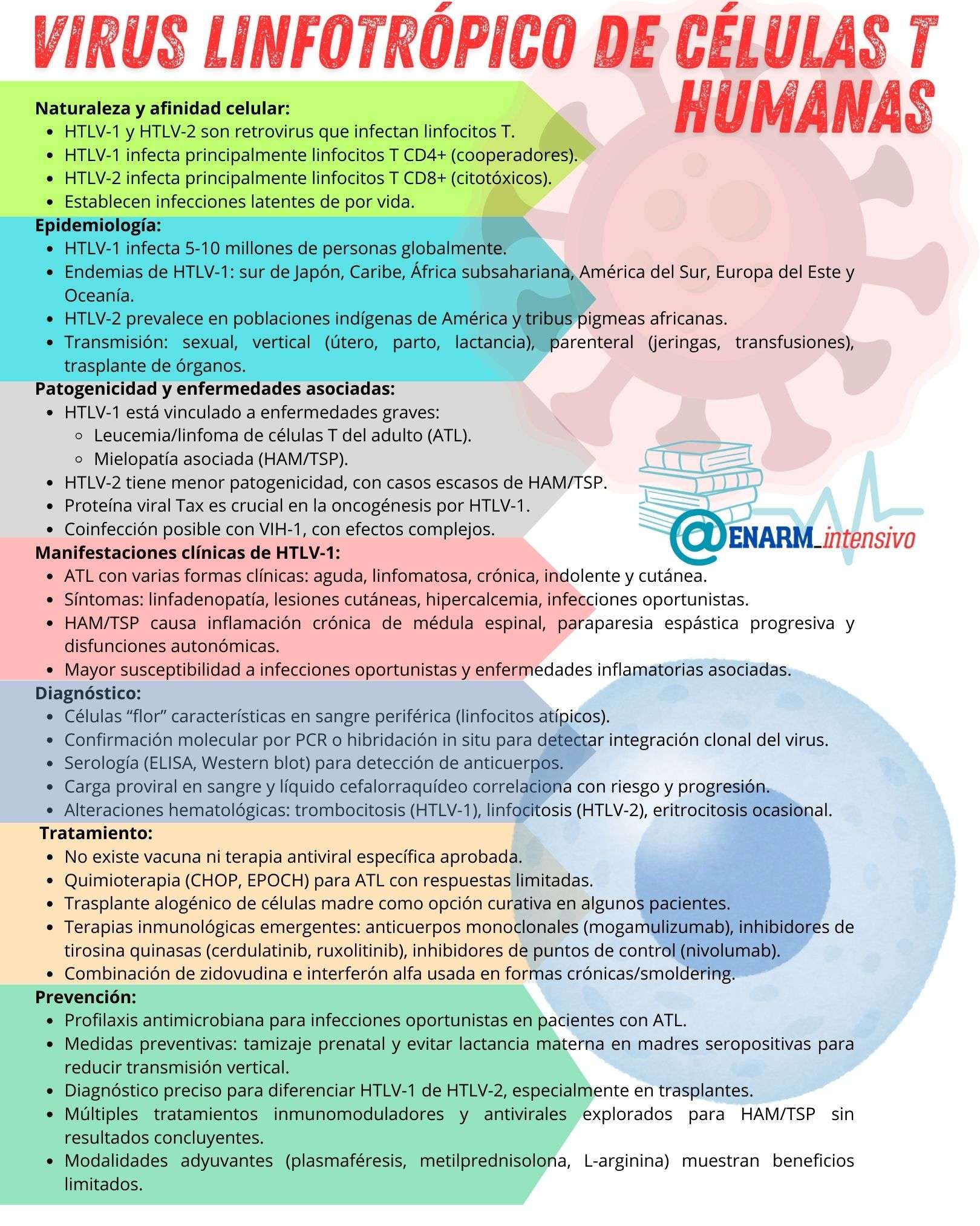 🎴TARJETA DE REPASO: VIRUS LINFOTRÓPICO DE CÉLULAS T HUMANAS