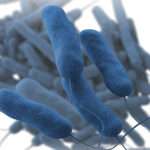 Enfermedad por Legionella