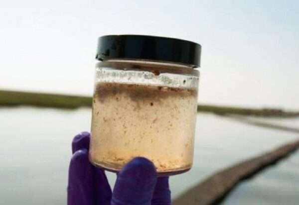 Intoxicación por arsénico