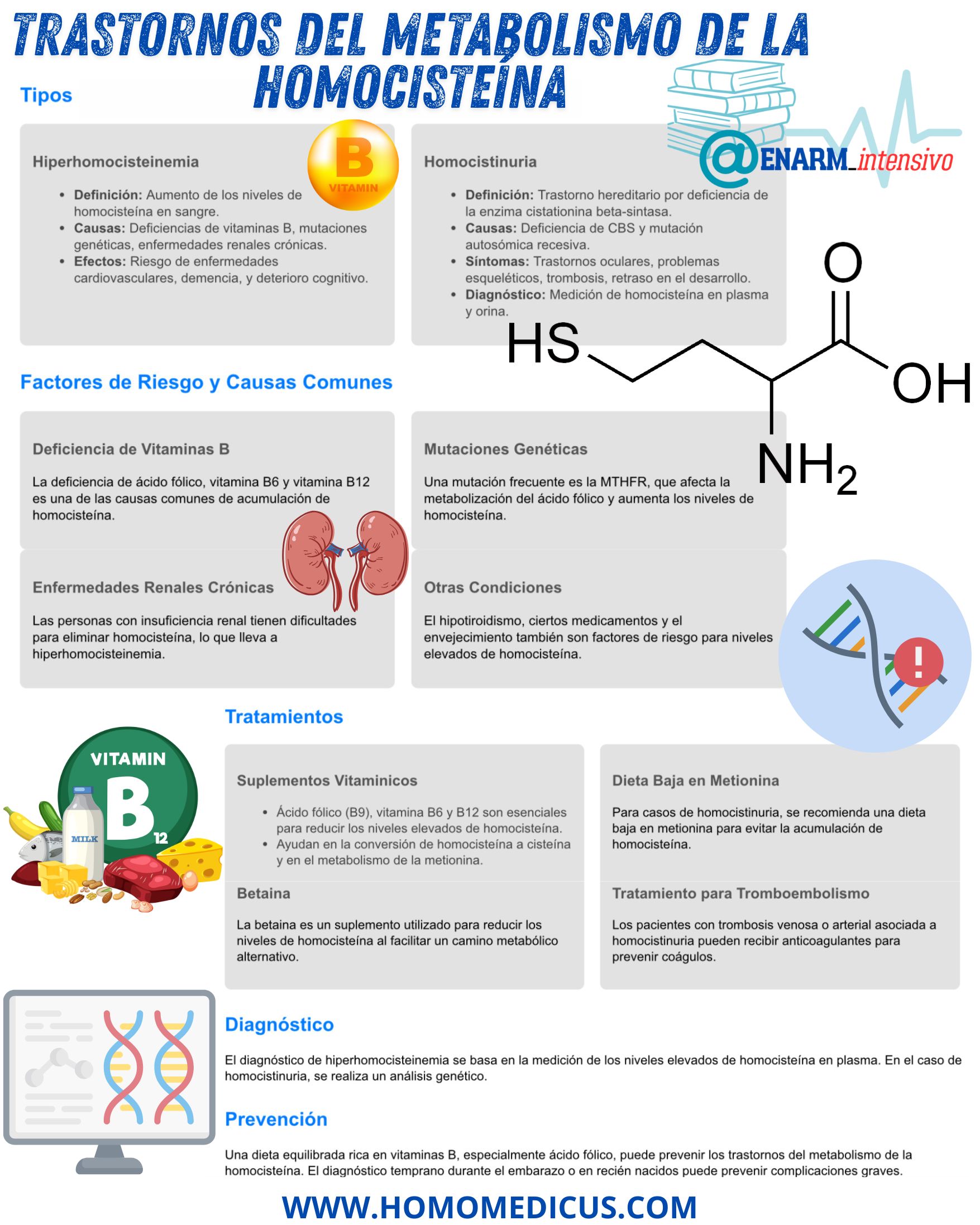 🎴TARJETA DE REPASO: Trastornos del Metabolismo de la Homocisteína
