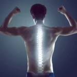 Anatomía funcional de la columna vertebral y del tronco