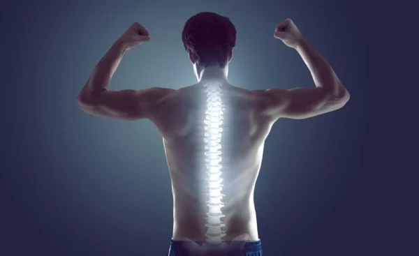 Anatomía funcional de la columna vertebral y del tronco