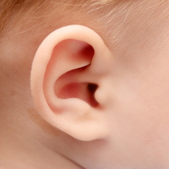 Anatomía del pabellón auricular
