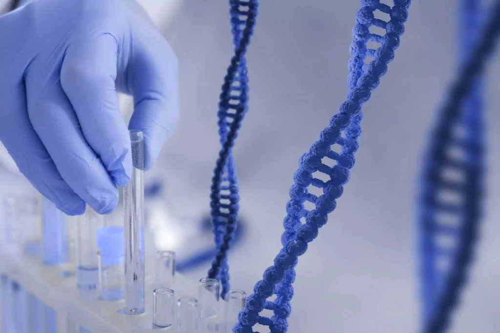 Tipificación molecular