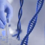 Tipificación molecular
