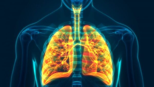 Los efectos y la patogénesis del PM2.5 y sus componentes en la EPOC