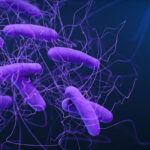 Colonización bacteriana