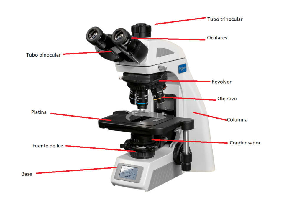 Componentes Mecánicos del Microscopio