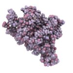 Isoformas de gonadotropina coriónica humana y su secreción