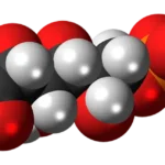 Dinámica del fosfato inorgánico en los líquidos extracelulares