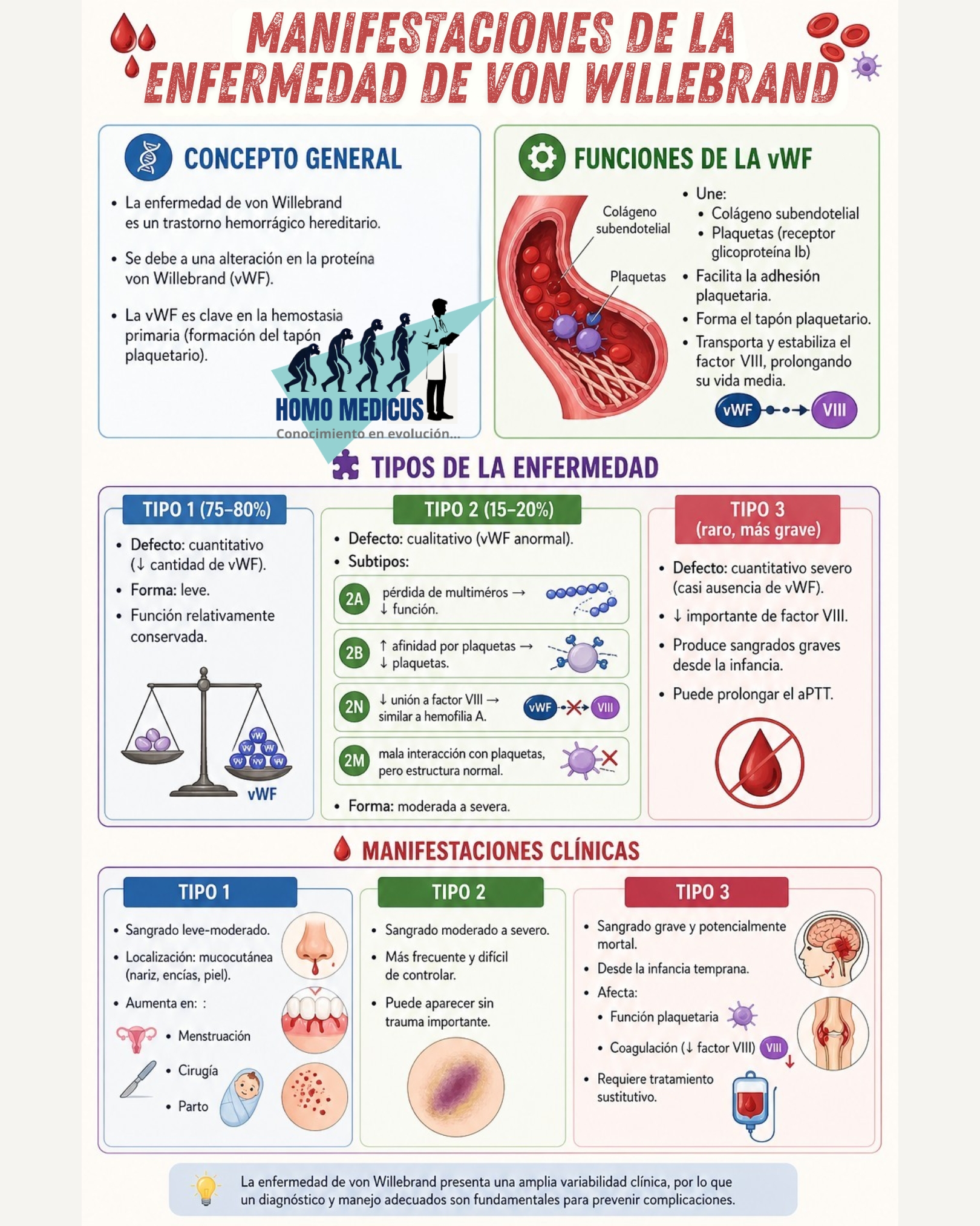 MANIFESTACIONES DE LA ENFERMEDAD DE VON WILLEBRAND