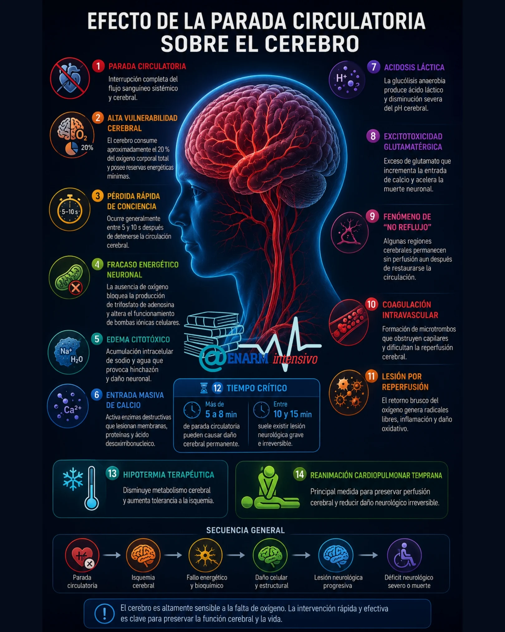 EFECTO DE LA PARADA CIRCULATORIA SOBRE EL CEREBRO EFECTO DE LA PARADA CIRCULATORIA SOBRE EL CEREBRO