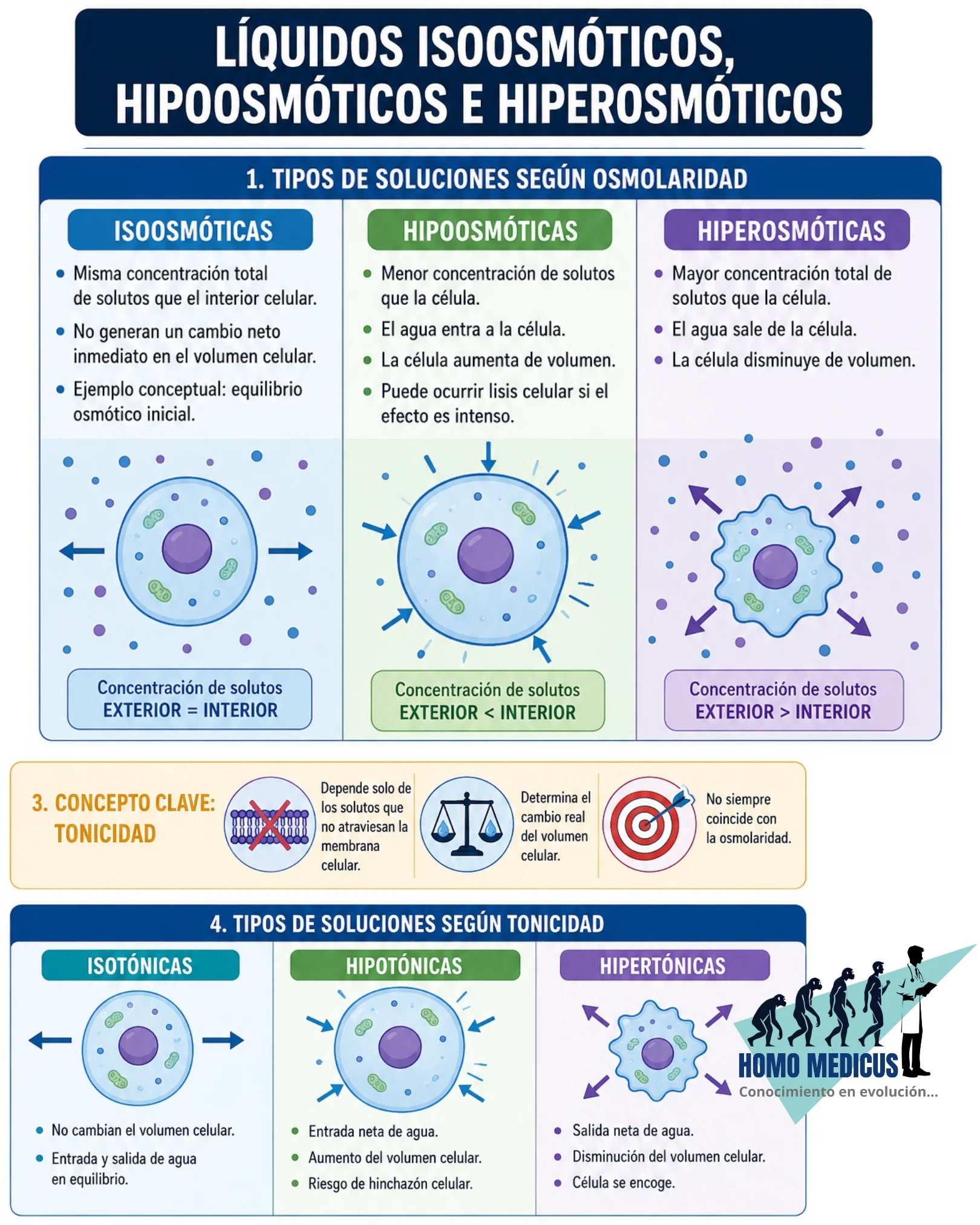 LÍQUIDOS ISOOSMÓTICOS, HIPOOSMÓTICOS E HIPEROSMÓTICOS LÍQUIDOS ISOOSMÓTICOS, HIPOOSMÓTICOS E HIPEROSMÓTICOS