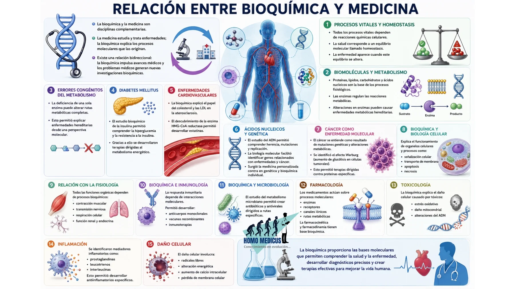 RELACIÓN ENTRE BIOQUÍMICA Y MEDICINA 