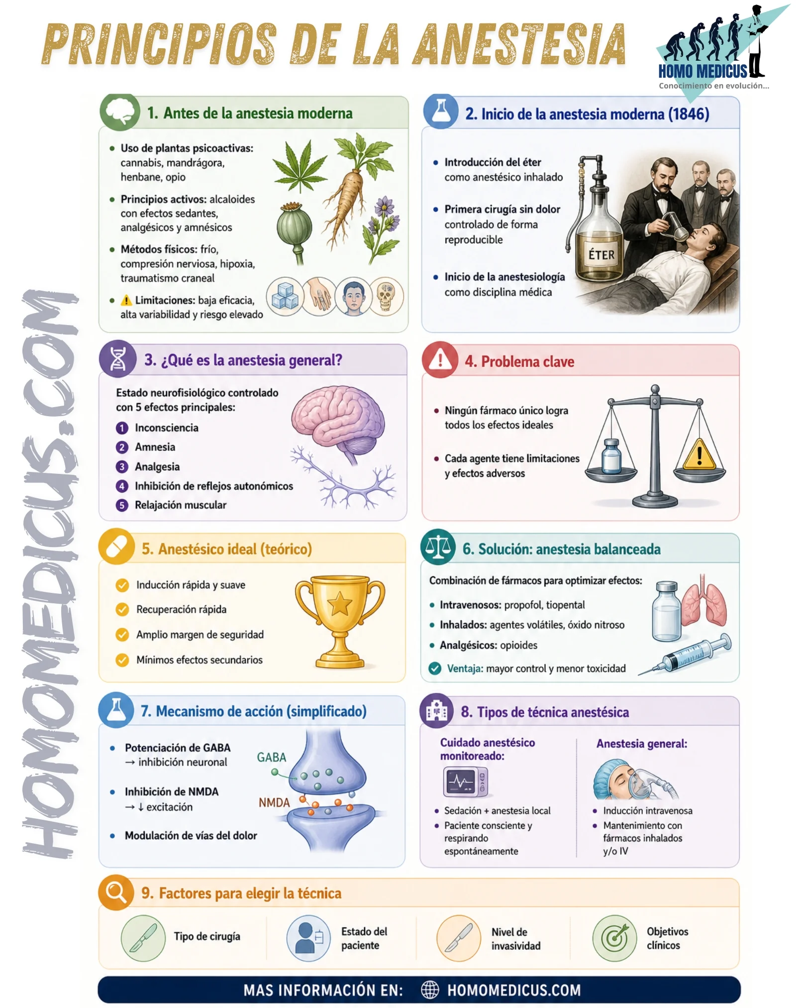 Principios de la anestesia