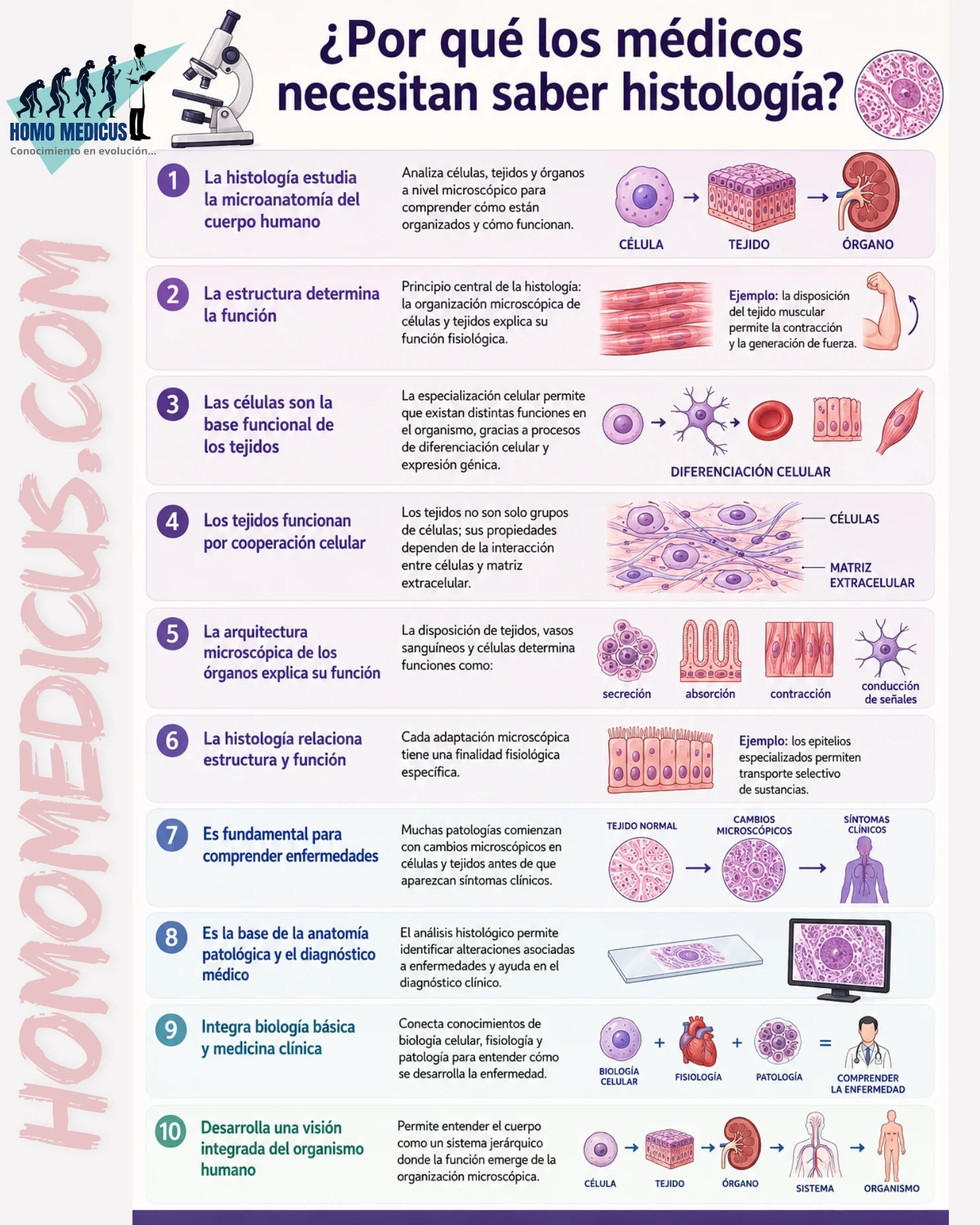¿Por que los médicos necesitan saber histología? ¿Por que los médicos necesitan saber histología?