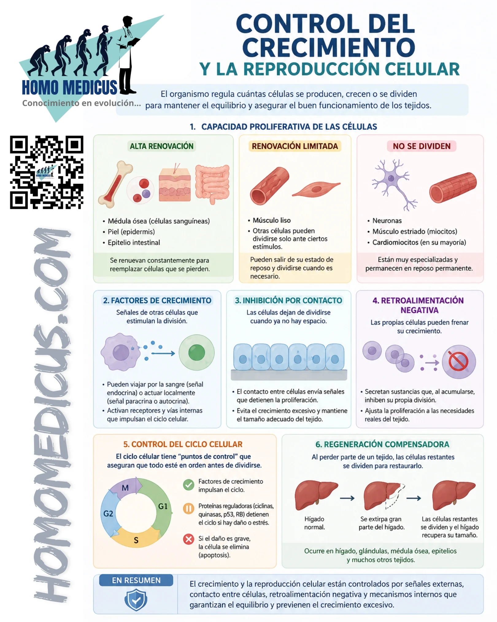 CONTROL DEL CRECIMIENTO Y LA REPRODUCCIÓN CELULAR