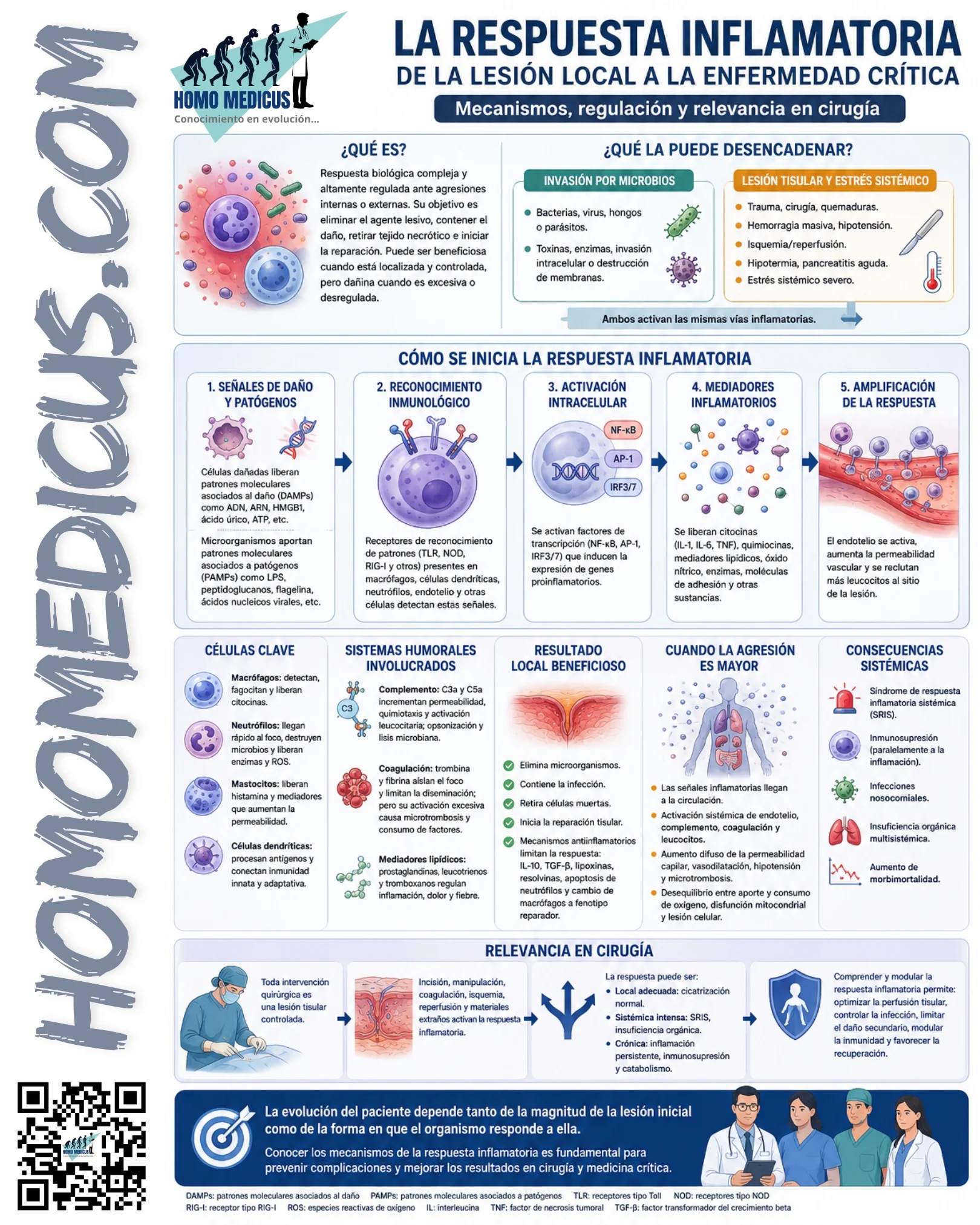 RESPUESTA INFLAMATORIA